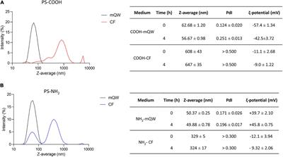 Interplay Between Nanoplastics and the Immune System of the Mediterranean Sea Urchin Paracentrotus lividus